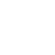 World Food Programme Logo